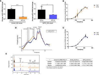 Arabinogalactan enhances Mycobacterium marinum virulence by suppressing host innate immune responses